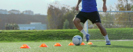 Online Training Curriculum